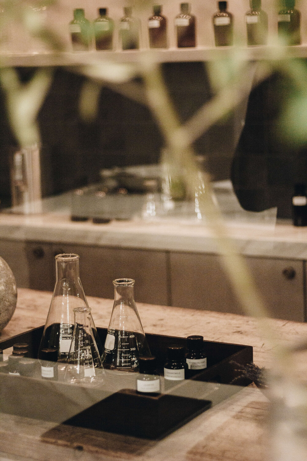 True Botanicals Jeremiah Brent-7