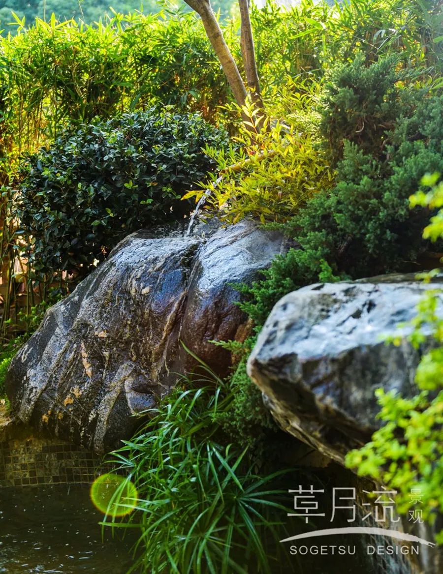 小空间庭院景观设计丨草月流景观-5