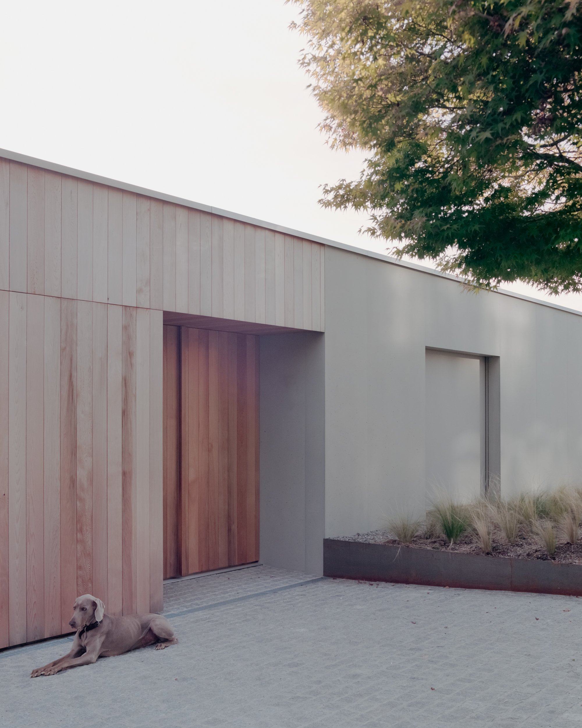 Uetikon 住宅丨瑞士丨PPAA-6