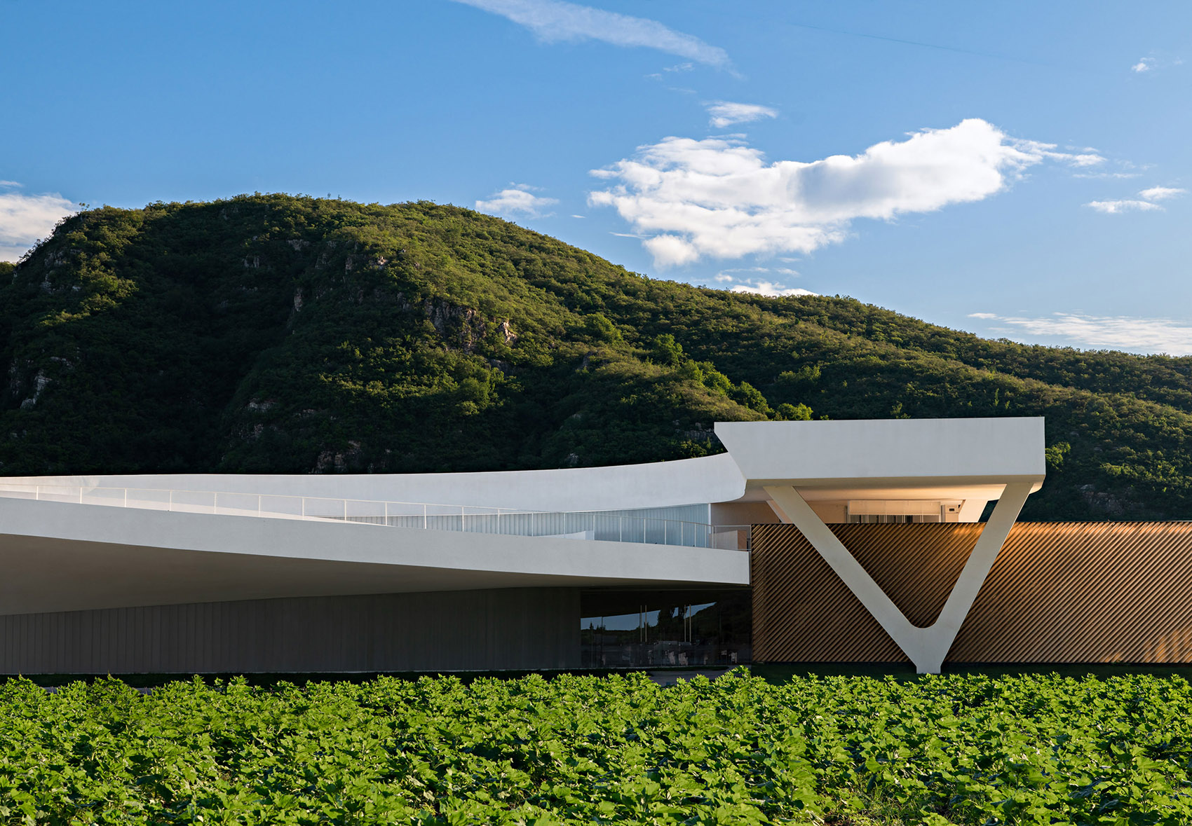 田岗艺术中心丨中国河北丨袈蓝建筑-50