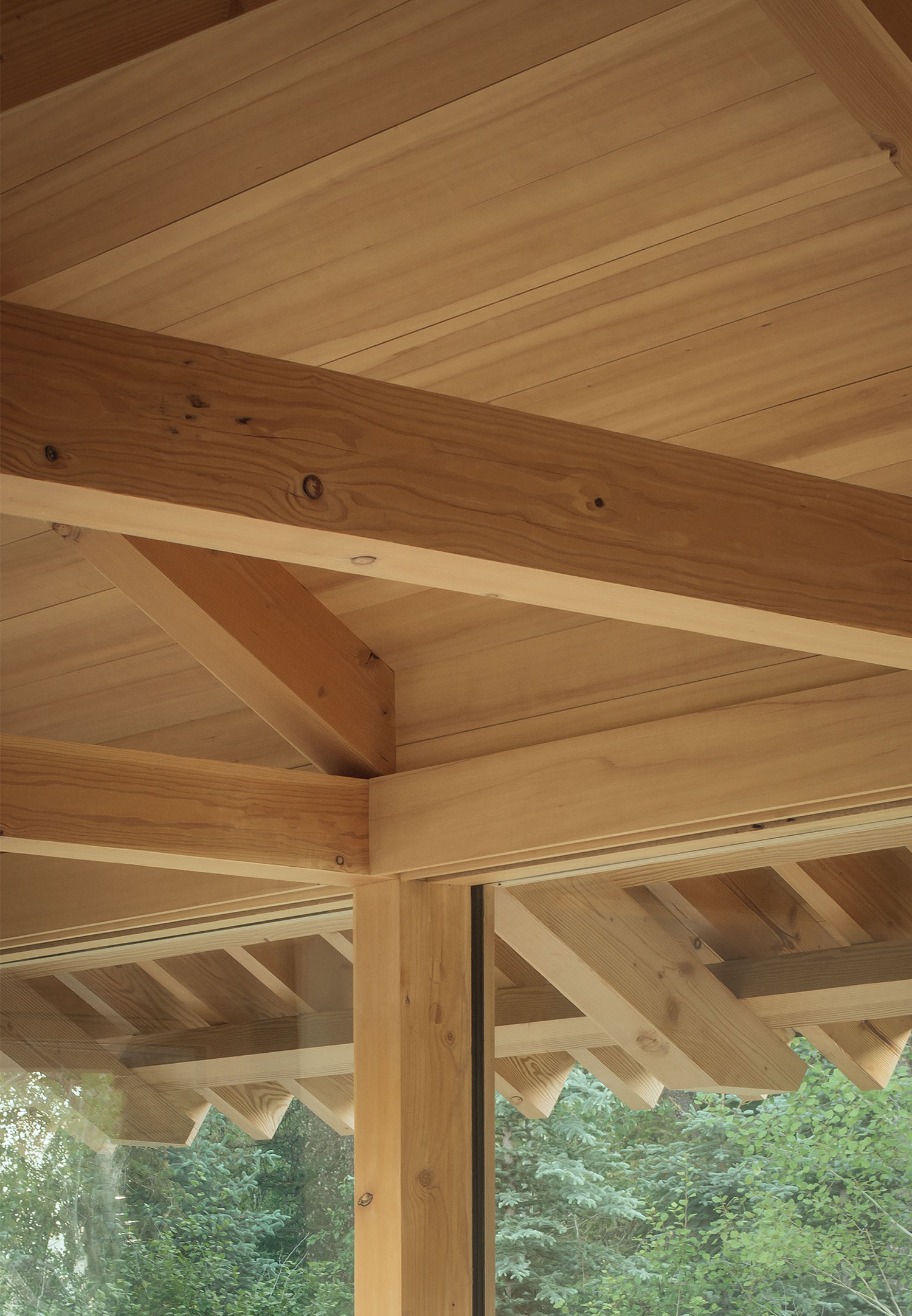 杰克逊霍尔住宅丨美国杰克逊丨McLean Quinlan-75