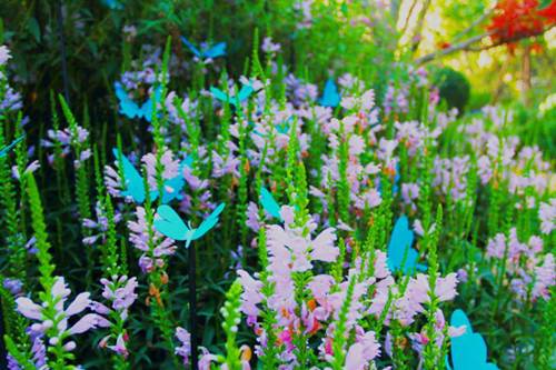 大圣归来南天门 | 一个奇趣的故事的示范区景观设计-66