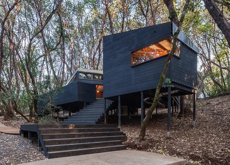 集合木屋「Forest House」丨美国加利福尼亚丨Envelope A+D建筑事务所及代表者道格拉斯·伯纳姆-9