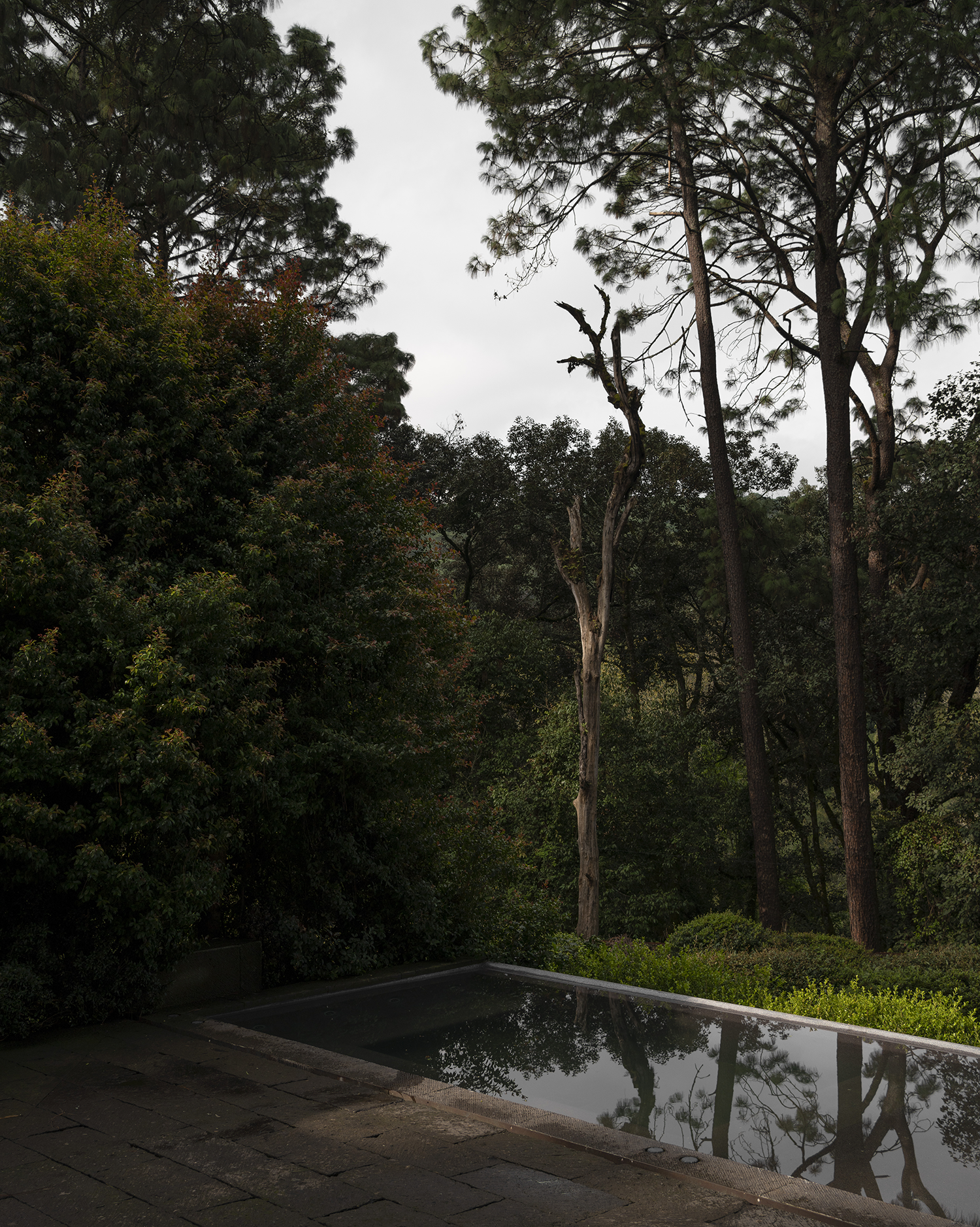 埃尔埃斯皮诺别墅景观丨墨西哥丨Dirección 设计工作室-70