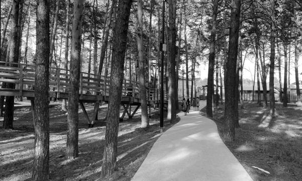 城市花园景观设计·阿西诺市中心“团结城市”项目丨俄罗斯托木斯克丨托木斯克州城市环境发展中心-54