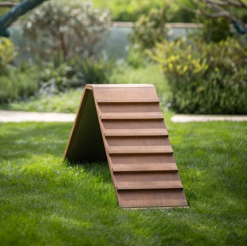 挥爪营地|重新定义宠物友好社区-42