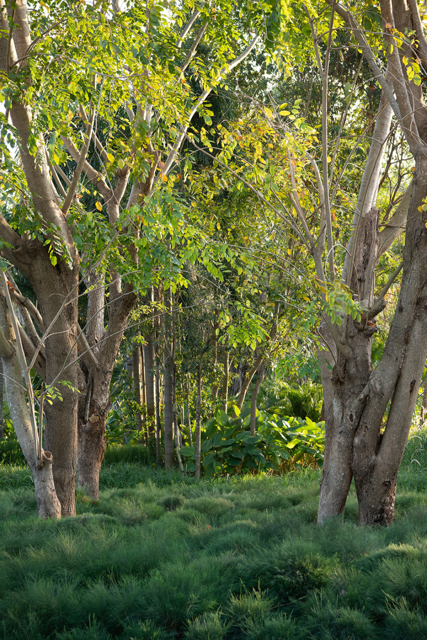 三亚观岚花园丨中国三亚-70