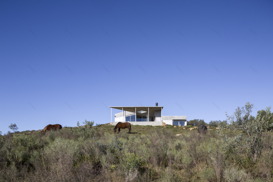 Yvytu 房子丨乌拉圭丨Agustin Fiorito,Darío Colacce-17