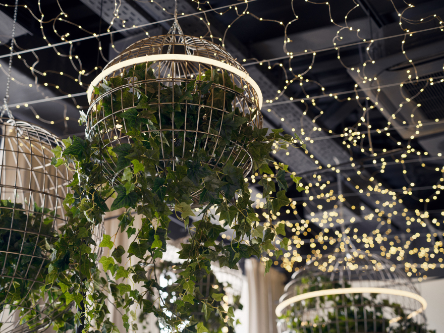 Korova a more餐厅丨俄罗斯丨Волков Алексей等5人-2