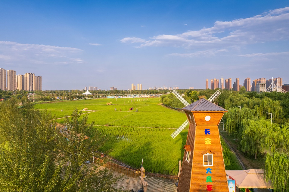 长安公园稻香园丨中国西安丨上海赤地设计事务所-17