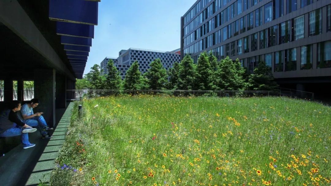 华鑫天地一期 | 建筑与景观的生态融合-76