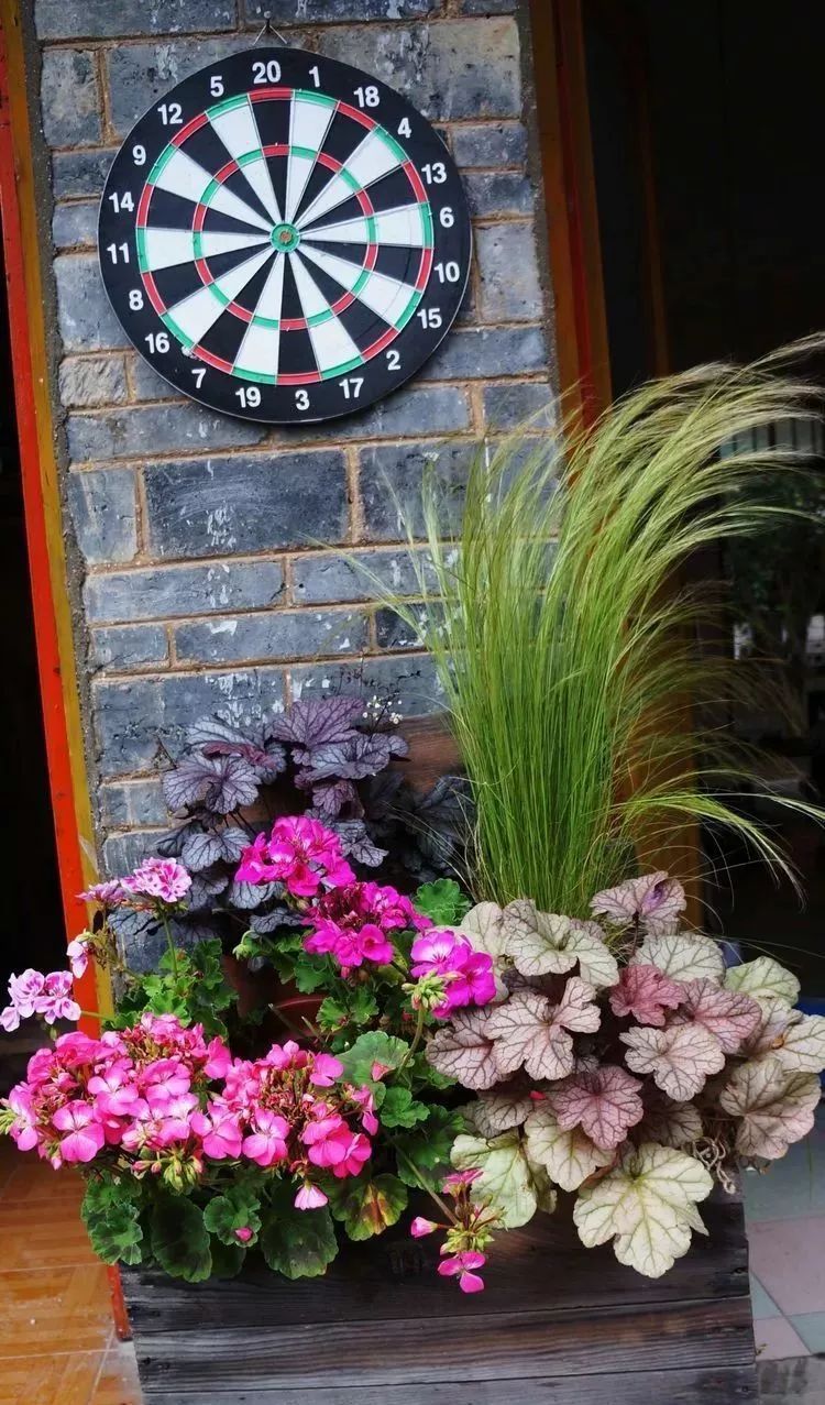 她花了4年，用月季，铁线莲，绣球把农村破败的小院打造成了花海，惊艳了时光-90