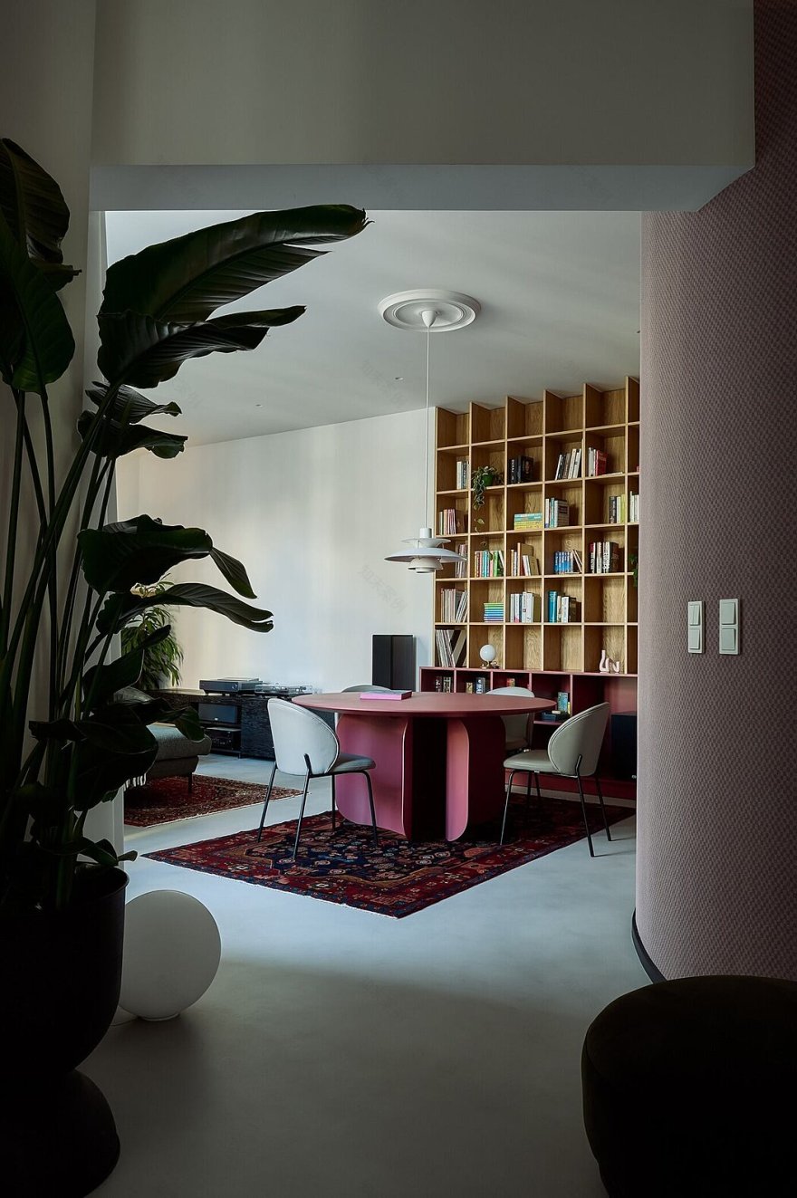 项目四加五丨波兰弗罗茨瓦夫丨Kohlrabi-2