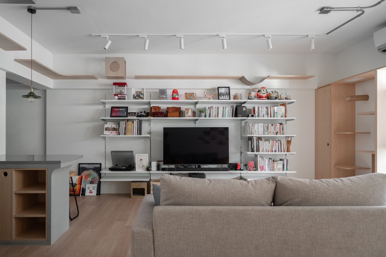 木介空间设计 · 猫的生活-11