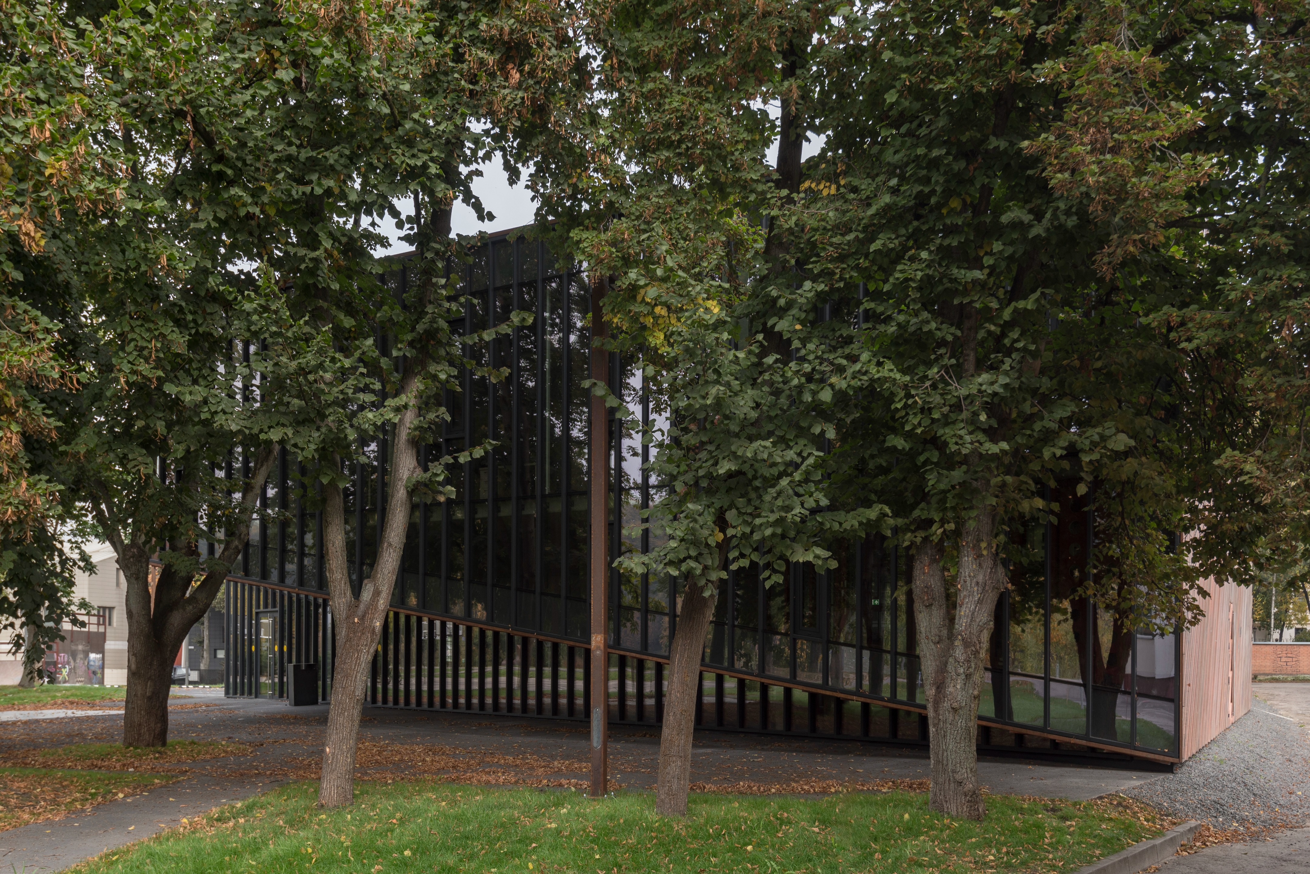 立陶宛篮球之家丨立陶宛考纳斯-20