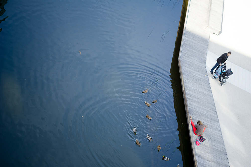 Eco-quartierGinkoBouyguesImmobilier-73