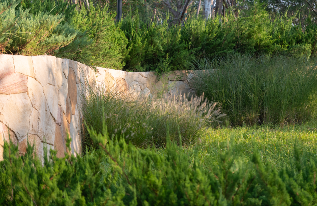 阿里巴巴北京朝阳科技园景观设计丨中国北京丨阿普贝思UP+S-98