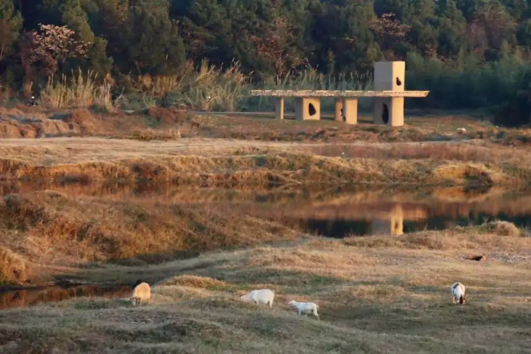 从“网红”到“长红”，如何用建筑艺术对抗城市化焦虑？-170