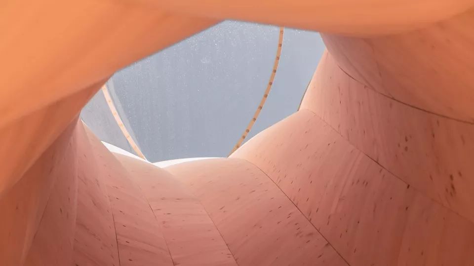 德国乌尔巴赫塔 | 自成型木材的可持续建筑奇迹-65