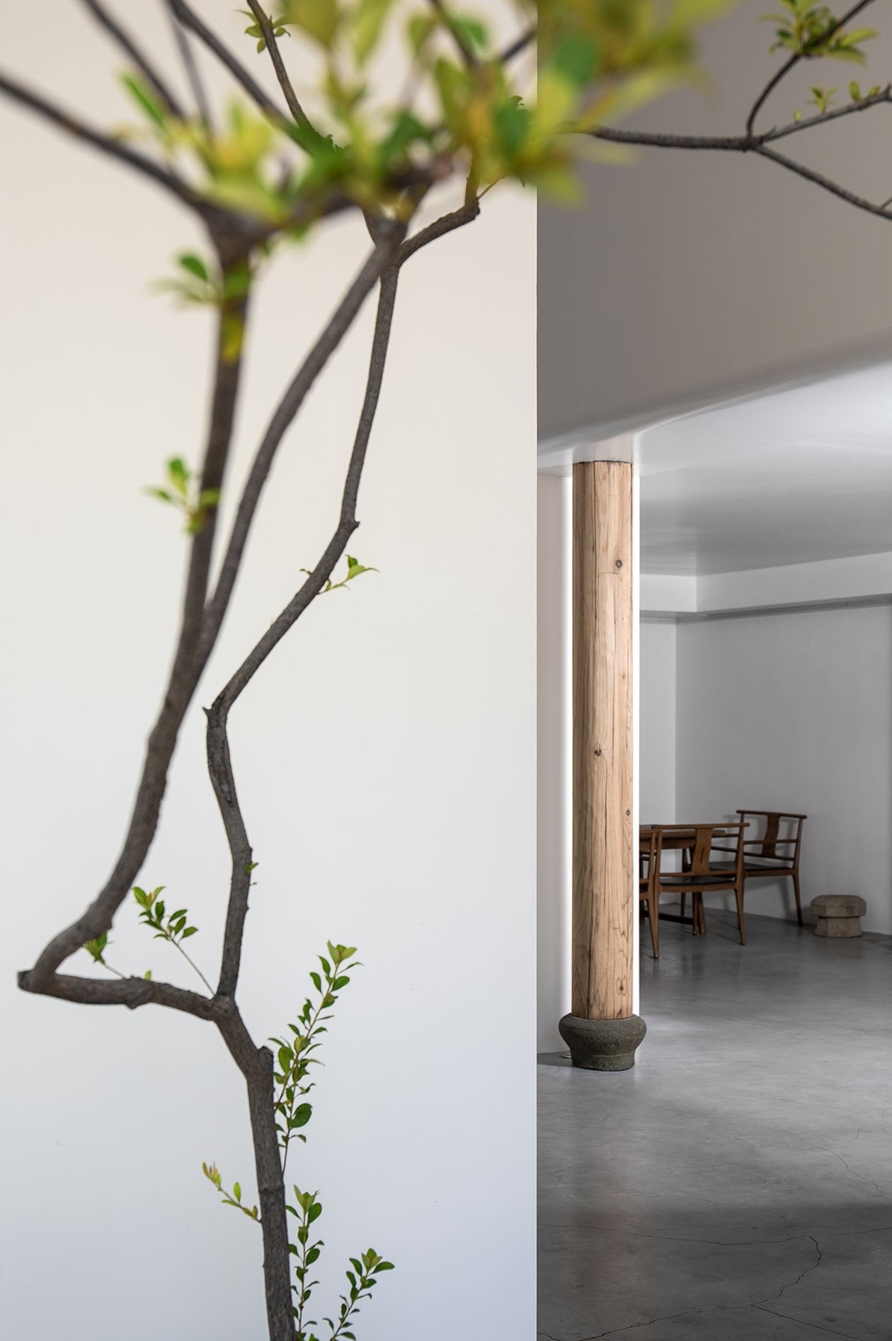 太姥山茶室丨中国莆田丨莆田墨臣空间设计-15