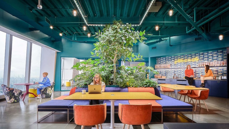 Wunderkind 办公室设计 · 绿色“绿洲”中的创意天地-2