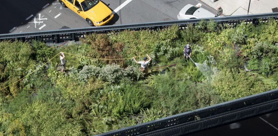 高线公园 (High Line Park)-429