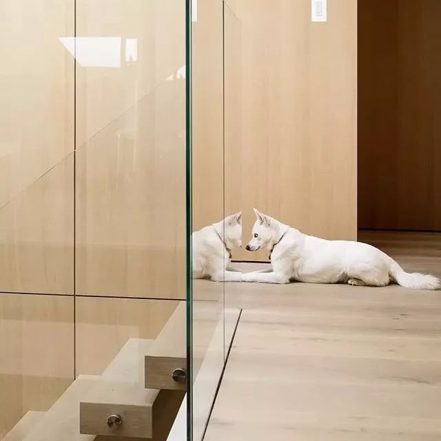 简约不是简陋/这栋小户型公寓楼/用简单材料设计出轻奢感-65