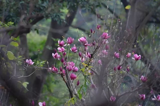 诗情画意 | 古诗词中的室内设计灵感-59