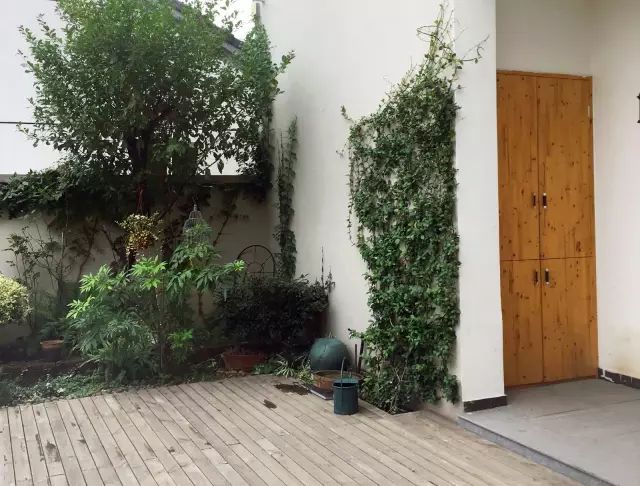 一家3口逃离都市，包下30亩地爆改老房子，有人开车2小时只为在这睡一觉-59