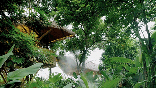 春武里丨中国西双版纳丨方糖设计-11