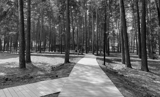 城市花园景观设计·阿西诺市中心“团结城市”项目丨俄罗斯托木斯克丨托木斯克州城市环境发展中心-59