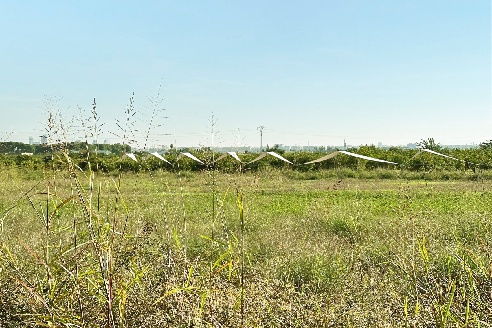 地平线展馆丨厄瓜多尔丨Eletres Studio-72