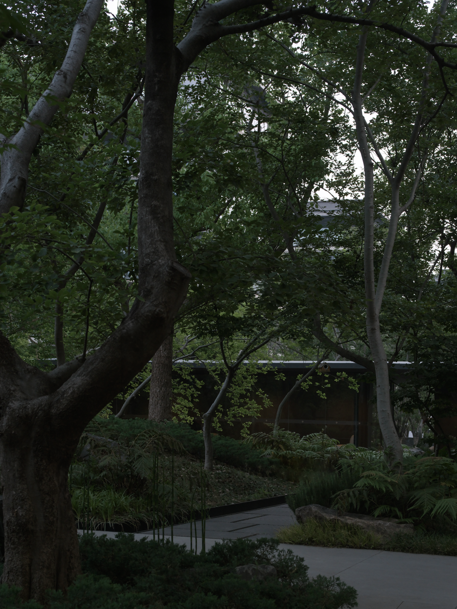 苏州和悦塘前雅院大区丨中国苏州丨MIND迈德景观-155