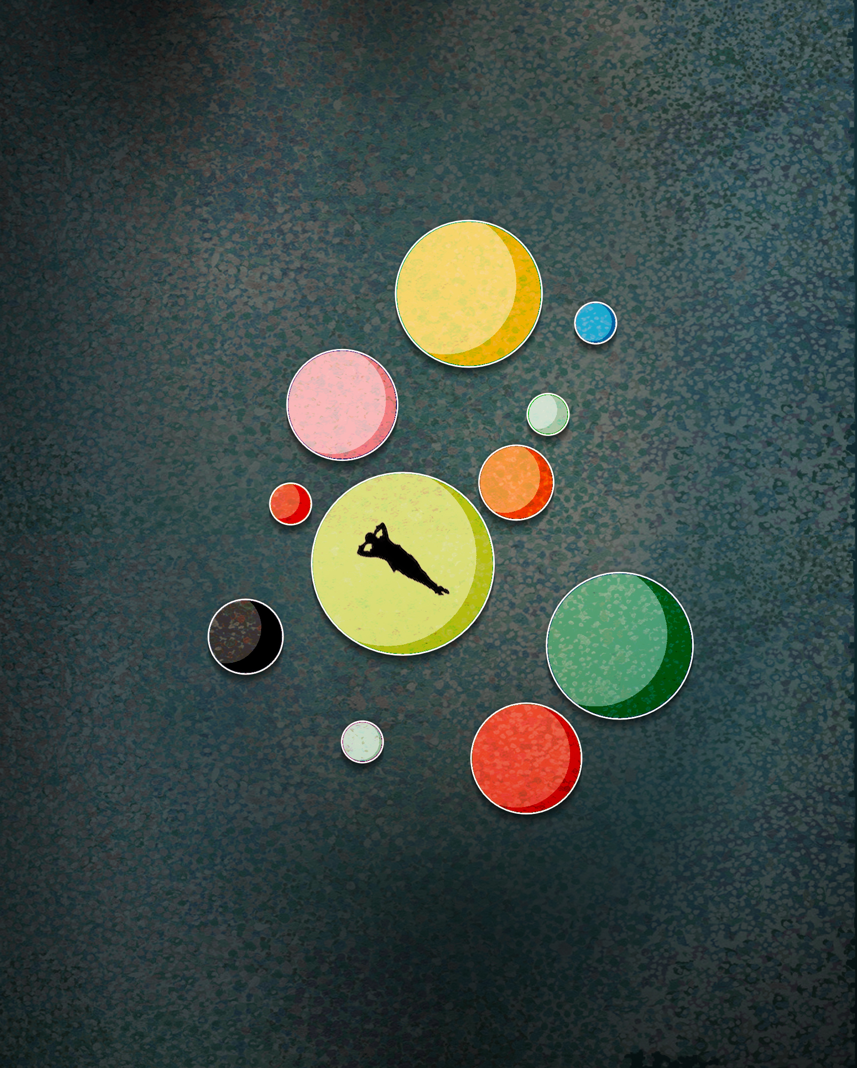 百合项目丨美国丨Jaemee Studio-14