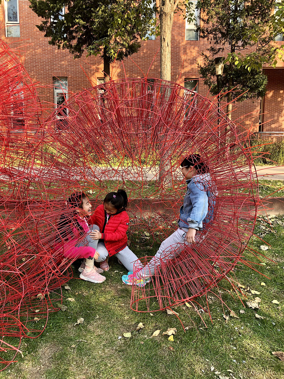 丹岩丨中国北京丨北京林业大学-118