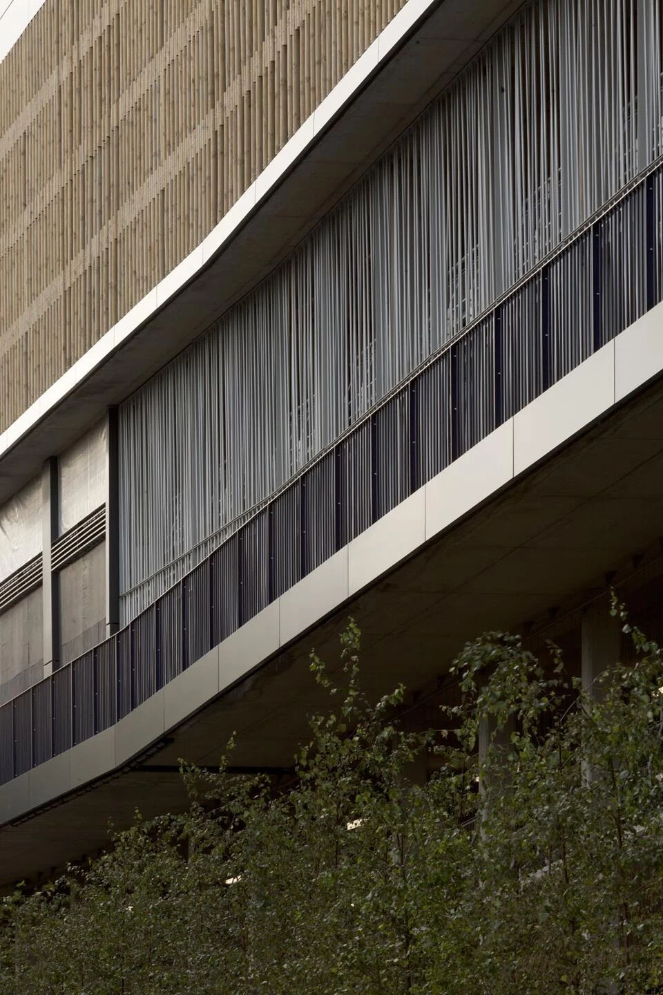 伯彻姆公园多用途服务中心-19