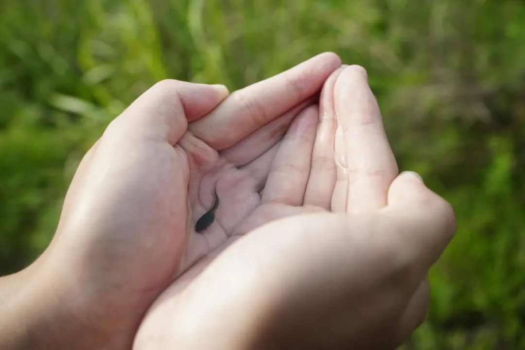 Yang Zhao  VISUAL ARTS-13