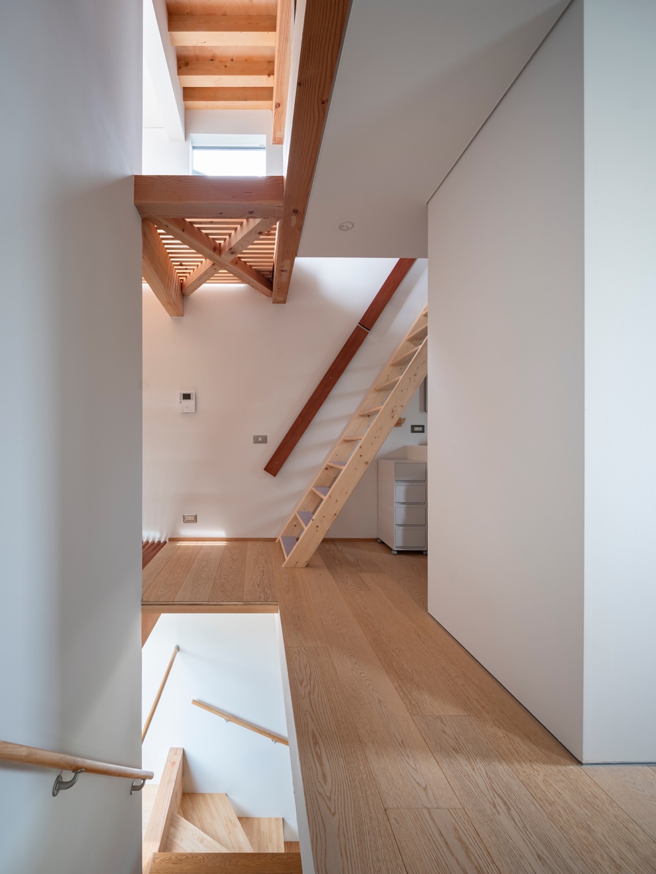 绿色之家丨日本东京丨Shin Aoki & Partners,Shin Aoki-30