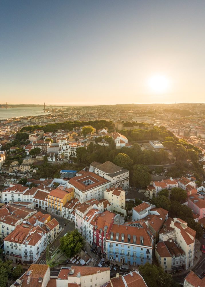 阿尔法玛区的城市绿洲-7