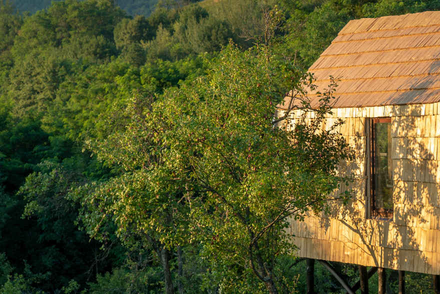 妈妈小屋丨罗马尼亚丨WeWilder-25