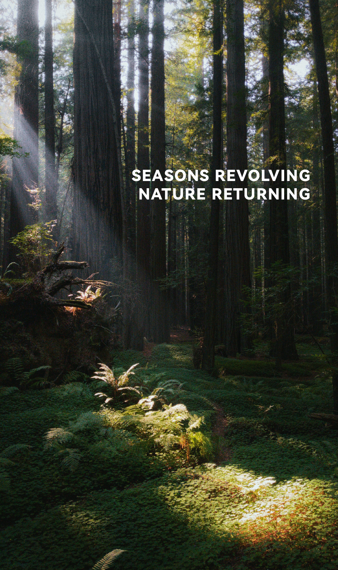 深圳招商雍云府售楼处丨中国深圳丨布鲁盟设计-0