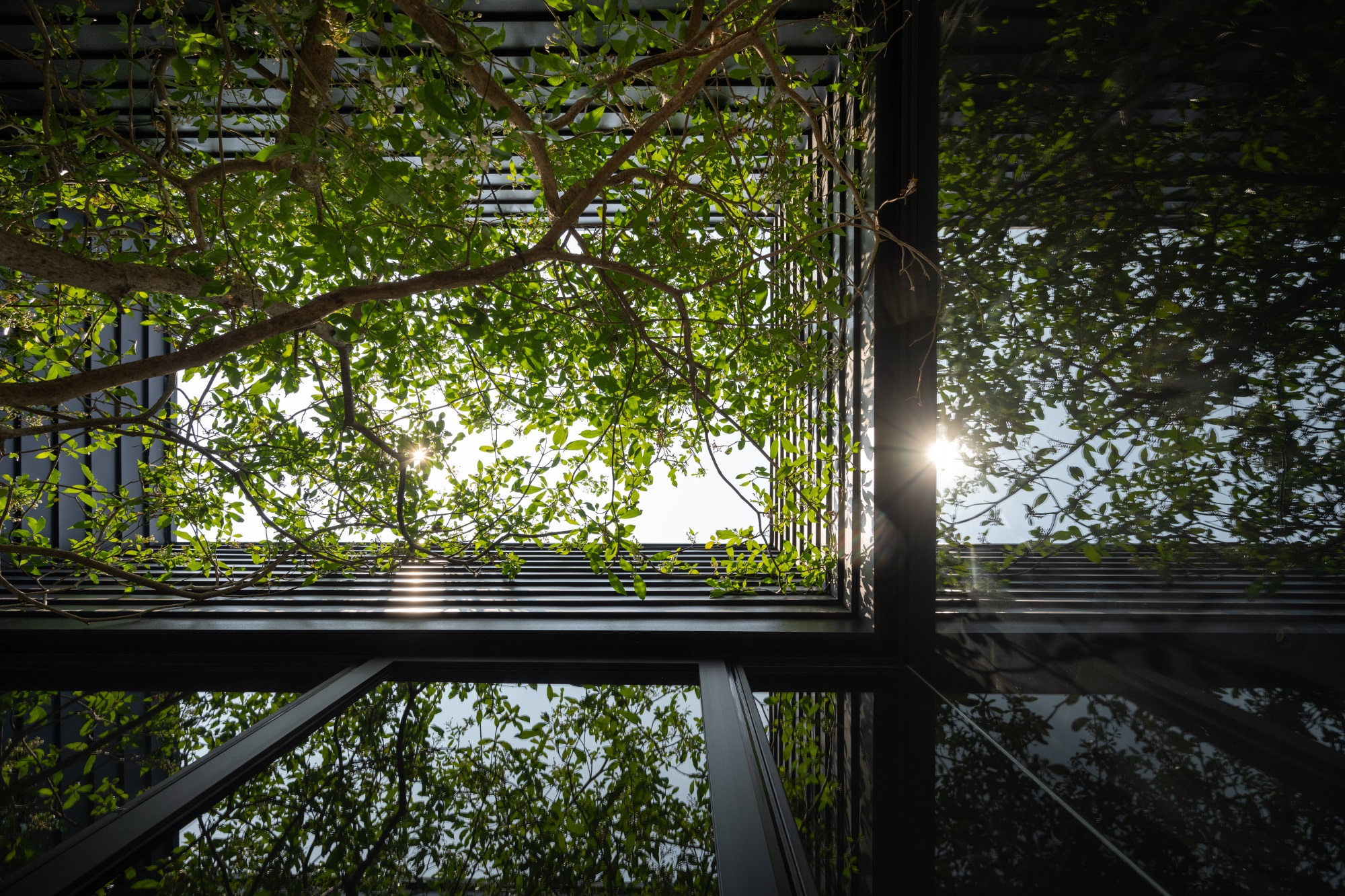 清迈静修山居丨泰国清迈丨INLY STUDIO-46