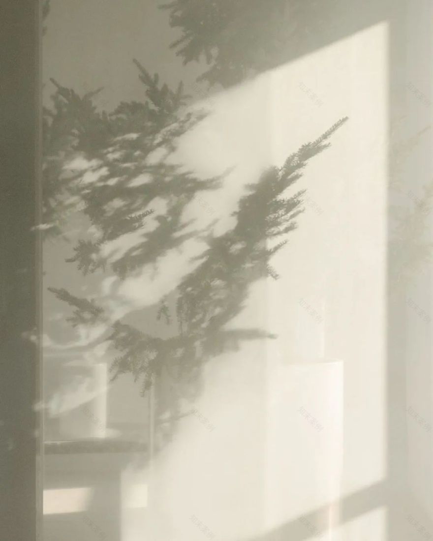 万科西元甲第丨中国洛阳丨孙亚滨-2