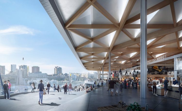 悉尼新鱼市场丨澳大利亚悉尼-8