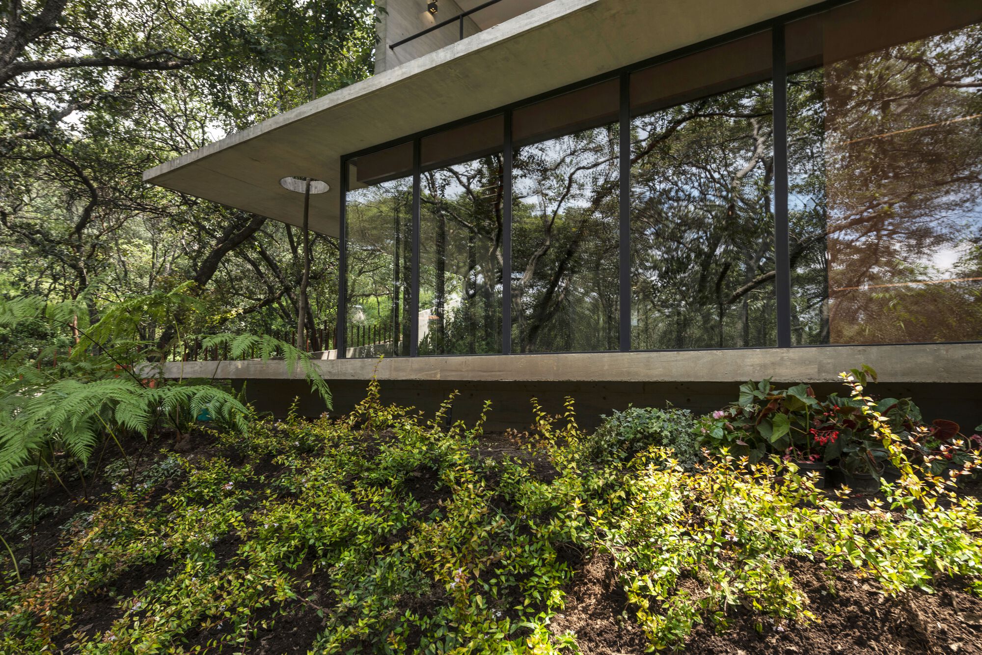 AYG 之家丨Miguel de la Torre-16