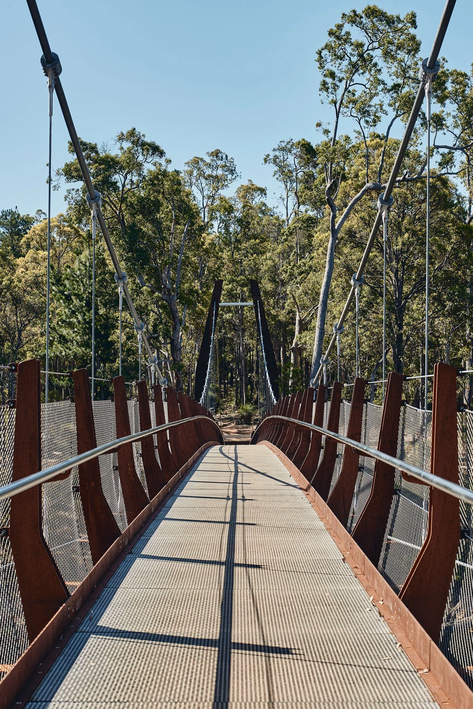 Dwaarlindjirraap 悬索桥丨澳大利亚-20
