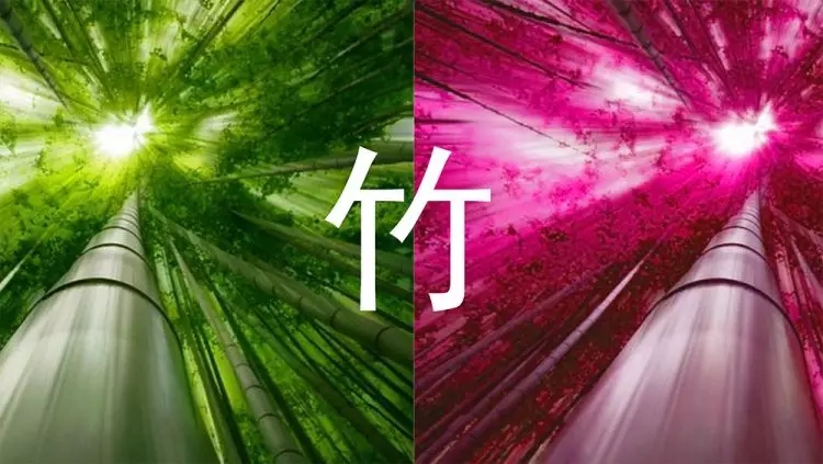 HONGU春熙路概念店-2