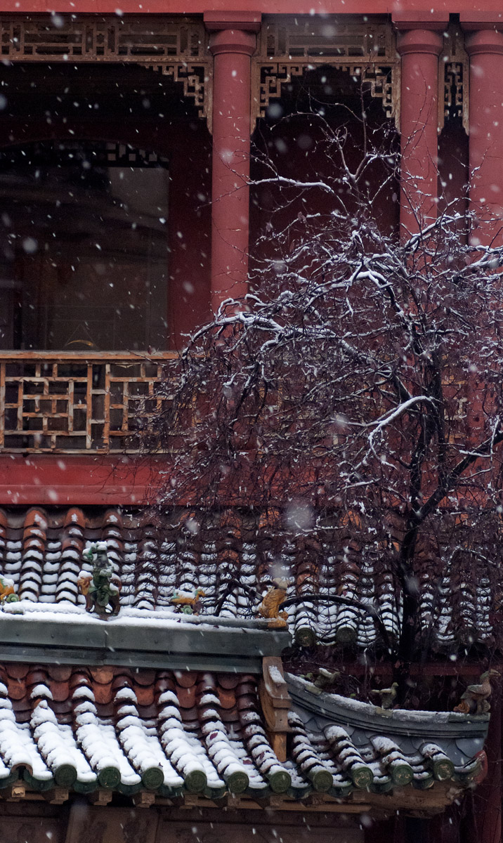 巴黎 CT LOO 塔丨法国巴黎丨Jacopo Brancati 和 Sylvie Noirbusson-10