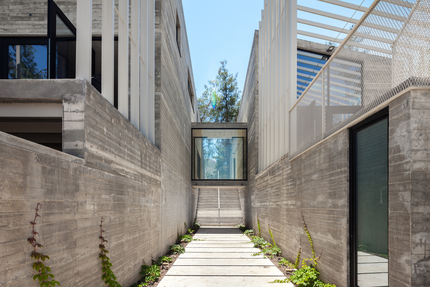 Cyprus 的 WELL 58 House丨Ekky Studio Architects LLC-17