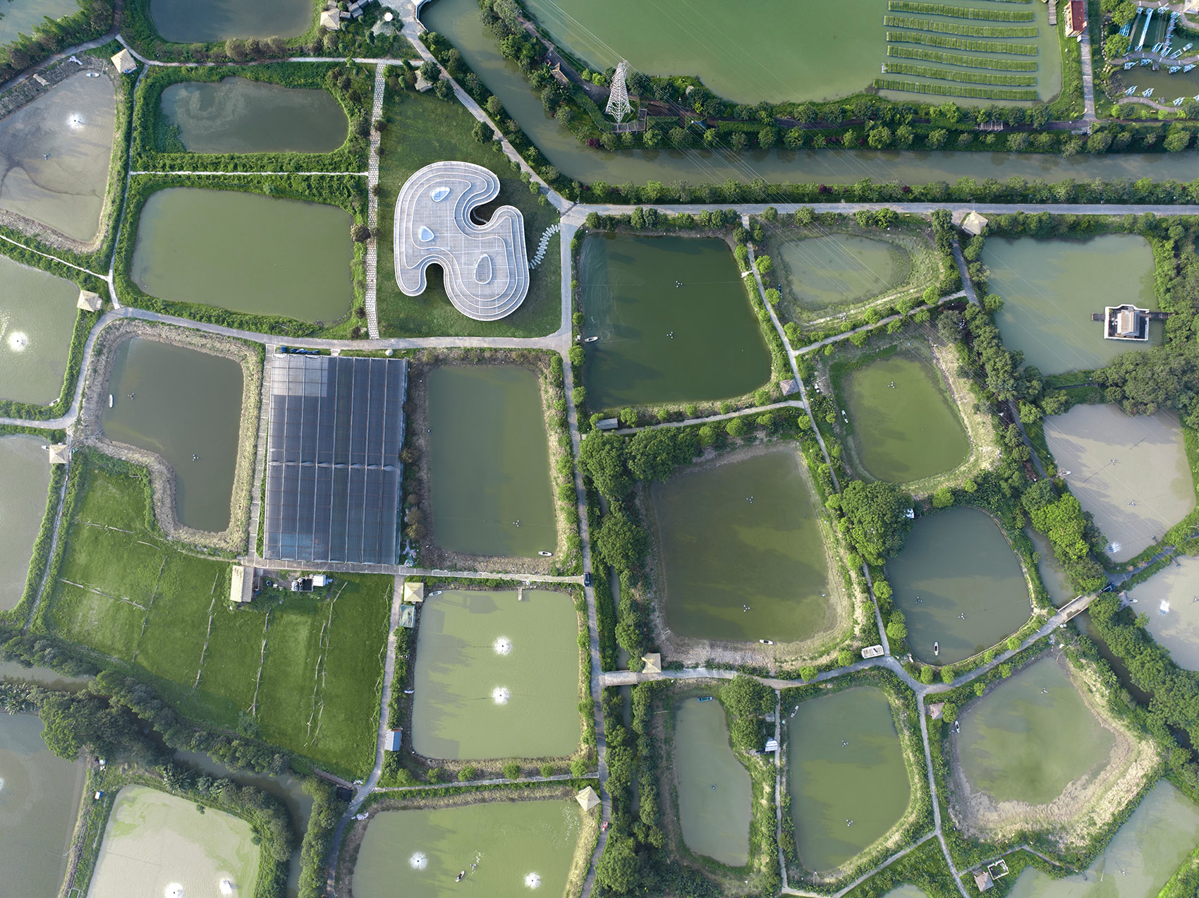 南海区淡水鱼产业技术示范推广中心丨中国佛山丨Wutopia Lab-10